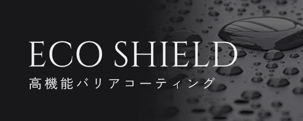 ECO SHIELD エコシールドUV 検証動画